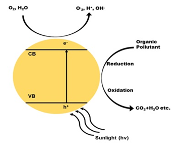 photocatalytic degradation pathway